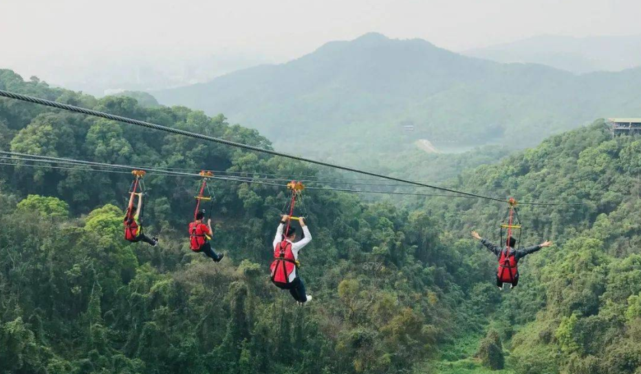 適合森林公園的游樂(lè)項(xiàng)目叢林滑索——簡(jiǎn)單好玩，成本還低